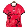 Camiseta Inter Milan Special 2025-26