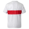 Camiseta VfB Stuttgart Anniversary 2025-26