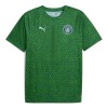Camiseta Manchester City Pre-Match 2025-26 Verde