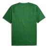 Camiseta Manchester City Pre-Match 2025-26 Verde