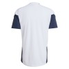 Argentina Camiseta De Entrenamiento Copa Mundial 2026 Blanca