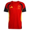Bélgica Camiseta De Entrenamiento Copa Mundial 2026 Roja