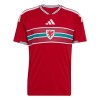 Camiseta Gales Primera Copa Mundial 2026 Camiseta Gales Primera Copa Mundial 2026