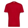 Camiseta Gales Primera Copa Mundial 2026