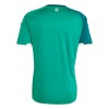 Camiseta Irlanda Del Norte Primera Copa Mundial 2026