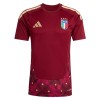 Camiseta Portero Italia Primera Copa Mundial 2026 Roja Camiseta Portero Italia Primera Copa Mundial 2026 Roja