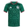 Conjunto/Equipación México Niño Primera Copa Mundial 2026
