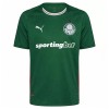 Camiseta Palmeiras Primera 2026-27