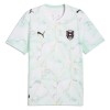 Camiseta Austria Segunda Copa Mundial 2026