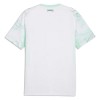Camiseta Austria Segunda Copa Mundial 2026