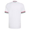 Camiseta Hungría Segunda Copa Mundial 2026