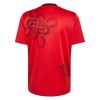 Camiseta Manchester United Cultural Story Special Edition 2025-26
