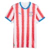 Camiseta Paraguay Primera Copa Mundial 2026