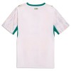 Camiseta Senegal Primera Copa Mundial 2026