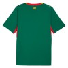 Camiseta Senegal Segunda Copa Mundial 2026