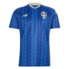 Camiseta Suecia Segunda Copa Mundial 2026 Camiseta Suecia Segunda Copa Mundial 2026