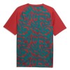 Camiseta Portugal Pre-Match Copa Mundial 2026 Roja