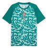 Camiseta Portugal Pre-Match Copa Mundial 2026 Verde