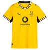 Camiseta Borussia Dortmund Adeyemi 27 Primera 2026-27