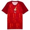 Camiseta Ghana Pre-Match Copa Mundial 2026 Camiseta Ghana Pre-Match Copa Mundial 2026