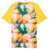 Camiseta Senegal Pre-Match Copa Mundial 2026