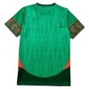 México Camiseta De Entrenamiento Copa Mundial 2026