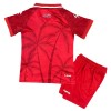 Conjunto/Equipación Haiti Niño Tercera Copa Mundial 2026