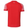 Camiseta Segunda Jordan Copa Mundial 2026