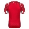 Camiseta Túnez Segunda Copa Mundial 2026