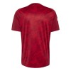 Camiseta Liverpool Pre-Match 2026-27