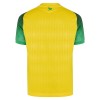 Conjunto/Equipación FC Nantes Niño Primera 2026-27