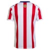 Camiseta Chivas de CD Guadalajara 120th Anniversary 2025-26