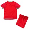 Conjunto/Equipación Irán Niño Segunda Copa Mundial 2026