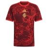 Camiseta Internacional Tercera 2026-27