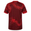 Camiseta Internacional Tercera 2026-27