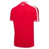 Conjunto/Equipación Wrexham Niño Primera 2026-27