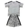 Conjunto/Equipación Portero Real Madrid Niño 2026-27 Gris