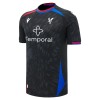 Camiseta Crystal Palace Segunda 2026-27 Camiseta Crystal Palace Segunda 2026-27